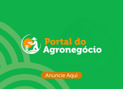 Portal