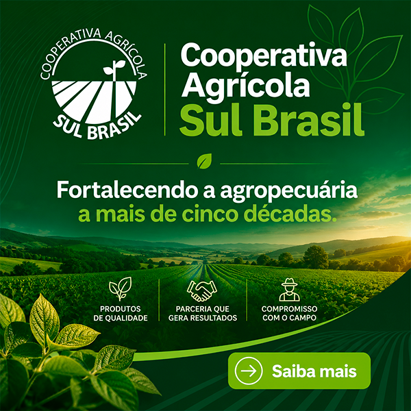 Cooperativa